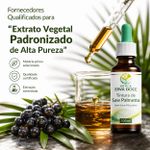 Tintura de Saw Palmetto (Serenoa repens) – 100ml