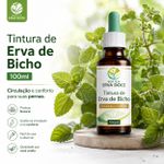 Tintura de Erva de Bicho (Polygonum punctatum) – 100ml