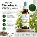 Tintura de Erva de Bicho (Polygonum punctatum) – 100ml