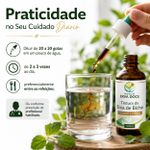 Tintura de Erva de Bicho (Polygonum punctatum) – 100ml