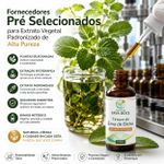 Tintura de Erva de Bicho (Polygonum punctatum) – 100ml