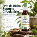 Kit Circulação: Diosmina Hesperidina  e Erva de Bicho 100ml