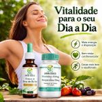 Kit Circulação: Diosmina Hesperidina  e Erva de Bicho 100ml