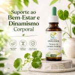 Tintura de Centella Asiática 100ml