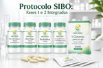 Protocolo SIBO – Fases 1 e 2 para Tratamento 30 Dias