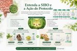 Protocolo SIBO – Fases 1 e 2 para Tratamento 30 Dias
