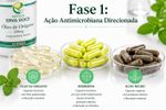 Protocolo SIBO – Fases 1 e 2 para Tratamento 30 Dias
