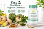 Protocolo SIBO – Fases 1 e 2 para Tratamento 30 Dias