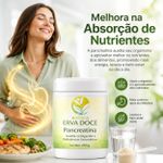 Pancreatina – Enzimas Digestivas Essenciais 250 gramas