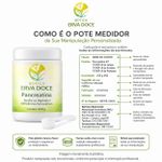 Pancreatina – Enzimas Digestivas Essenciais 250 gramas