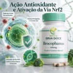 Brocophanus 100mg Escudo Protetor Antioxidante 120 Cáps