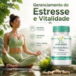 Rhodiola Rosea 300mg Adaptógeno Foco e Energia 60 Caps