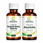 Kit Digestão Leve Hortelã Alcachofra