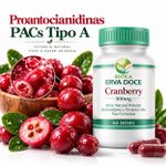 Cranberry 500mg –  Equilíbrio Urinário 60 Doses