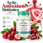 Cranberry 500mg –  Equilíbrio Urinário 60 Doses