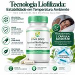 Lactobacillus Bulgaricus 4 Bilhões UFC Probiotico 60Caps