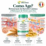 Lipowheat 350mg Fitoceramidas Hidratação da Pele 60Caps