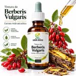 Tintura de Berberis Vulgaris 100ml