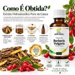 Tintura de Berberis Vulgaris 60ml