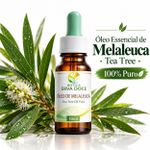 Óleo Essencial de Melaleuca Tea Tree Puro 10ml