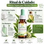 Óleo Essencial de Melaleuca Tea Tree Puro 10ml