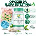 Lactobacilos Curvatus 4 Bilhoes UFC 60 Doses