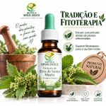 Tintura de Erva de Santa Maria Mastruz 30ml