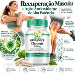 MobiFlex Active Chronic 500mg -  30 Capsulas Articular