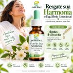 Floral de Bach Anti Burnout  Suporte Emocional  30ml