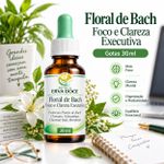Floral de Bach Foco e Clareza Executiva  30ml