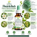 Floral de Bach Foco e Clareza Executiva  30ml