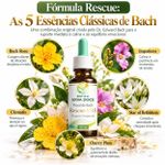 Floral de Bach Resgate Emocional (Rescue Remedy) 30ml