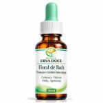 Floral  de Bach Proteção e Limites Emocionais –  30ml