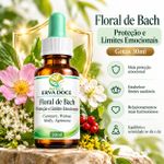 Floral  de Bach Proteção e Limites Emocionais –  30ml