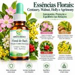 Floral  de Bach Proteção e Limites Emocionais –  30ml