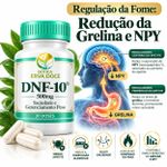 DNF-10 500mg - Saciedade e Gerenciamento Peso 30 Capsulas