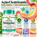 Stomazinc 150mg Saude Gastrica e Proteçao 30 Capsulas