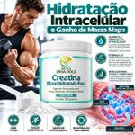 Creatina Monohidratada -  Pó Força e Energia Celular 100 gr