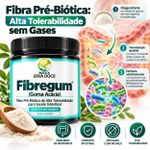 Fibregum (Goma Acacia)  – Fibra Pre-Biotica 150 gramas