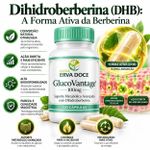 Glucovantage Dihidroberberina 100mg 120 capsulas