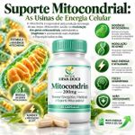Mitocondrin 200mg Booster Energético 60 Capsulas