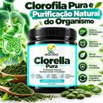 Clorella Pura –  Nutrição Celular e Imunidade 150g 