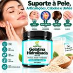Gelatina Hidrolisada -  Firmeza e Vitalidade  em Pó 300g