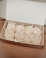 Wax Melt Welcome to Magic | Peônia, Baunilha e Cedro
