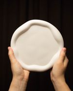 Bandeja Decorativa Orgânica G