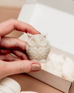 Wax Melt Welcome to Magic | Peônia, Baunilha e Cedro