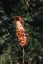 Mocassim Clássico Havana