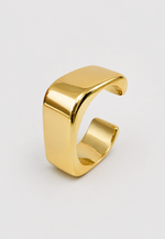 BRACELETE  C LARGO 1010