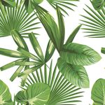 Papel de Parede Folhagem Tropical