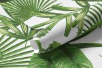 Papel de Parede Folhagem Tropical